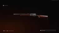 The Gracey Auto shotgun. (Image via Activision)